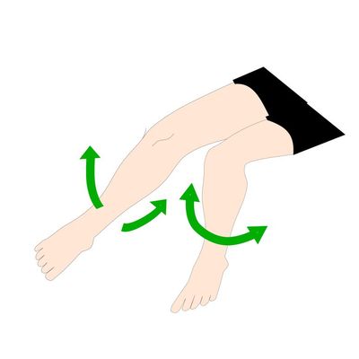 膝の動きイラスト