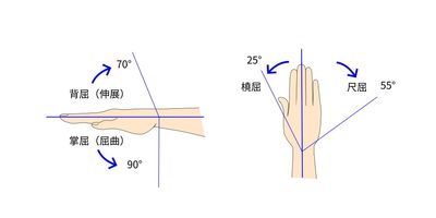 手関節の可動域