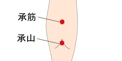 ふくらはぎの承筋・承山穴