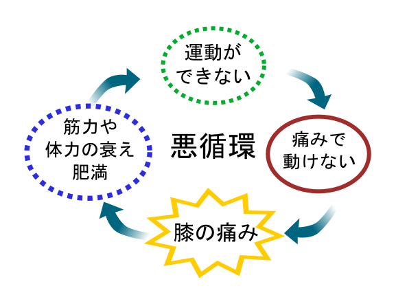 膝の痛みの悪循環