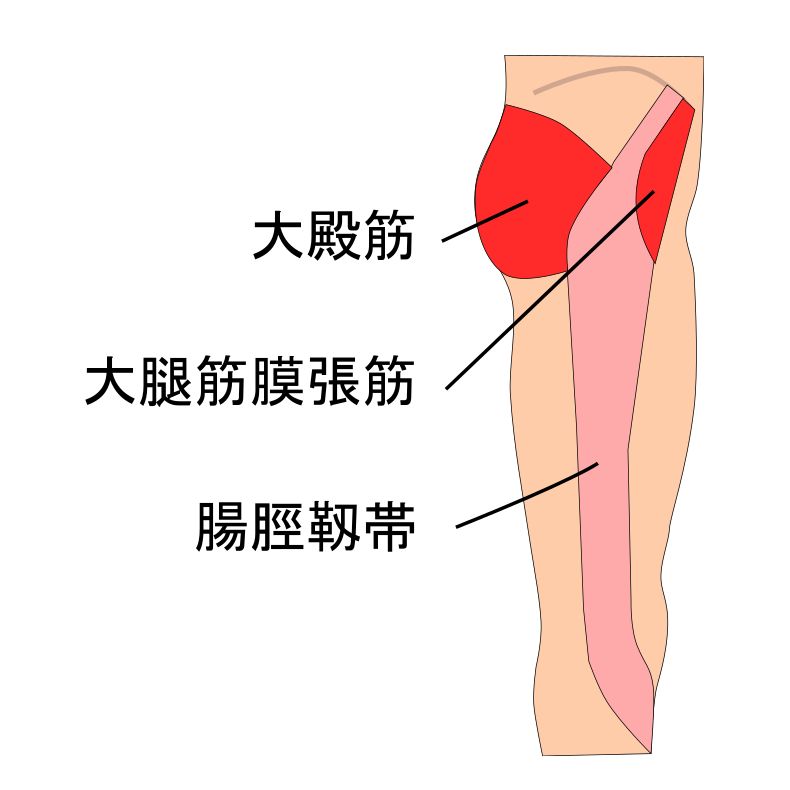 腸脛靱帯