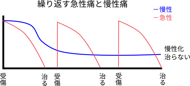 急性慢性図