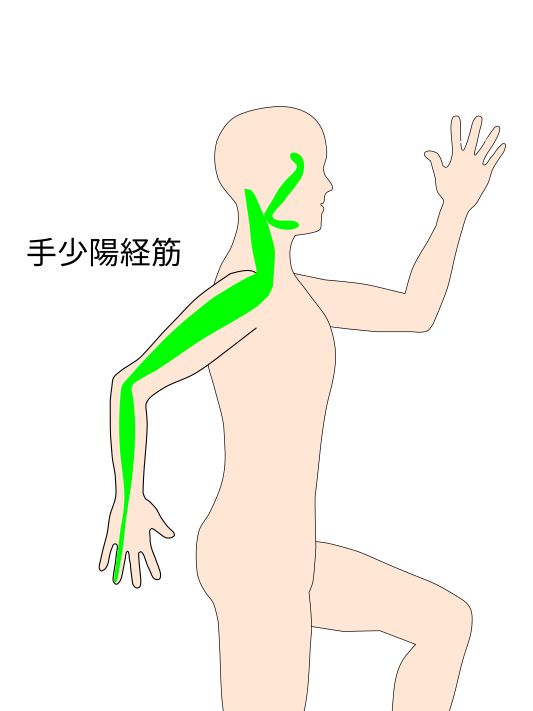 手少陽経筋図