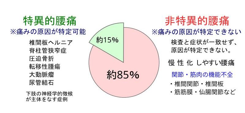 特異・非特異性腰痛チャート