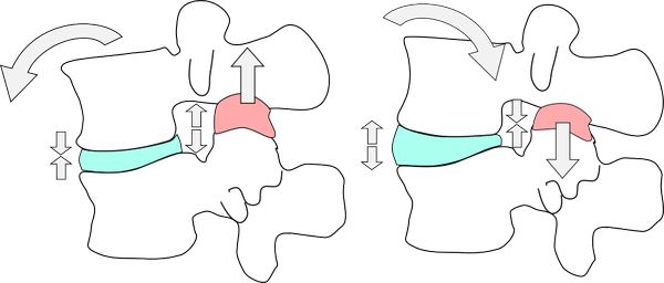 椎間関節の動き