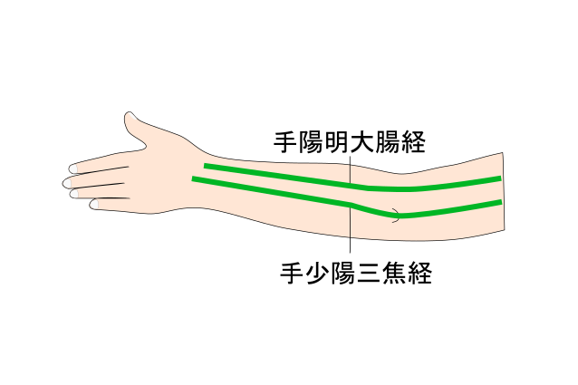 前腕の大腸経、三焦経