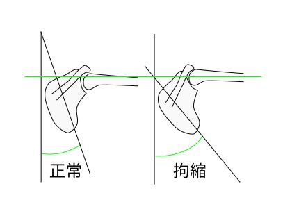 肩関節の動き