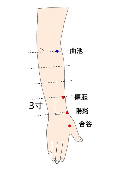 合谷・陽谿・偏歴