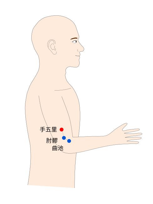 手五里(てごり)経穴(ツボ)イラスト