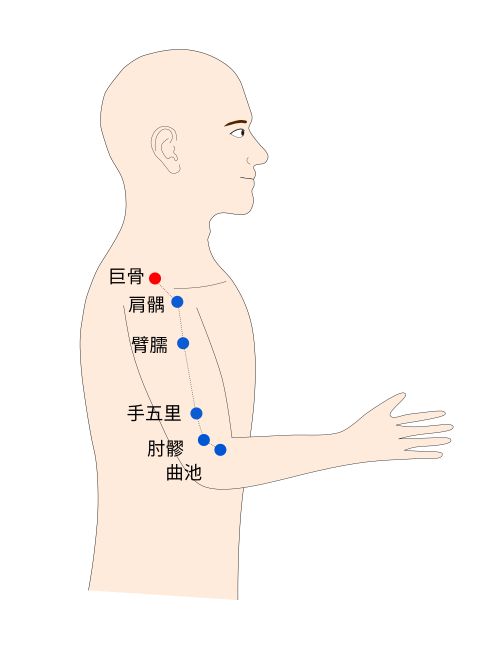 巨骨（ここつ）経穴（ツボ）イラスト