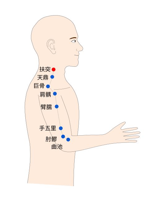 扶突（ふとつ）経穴（ツボ）イラスト