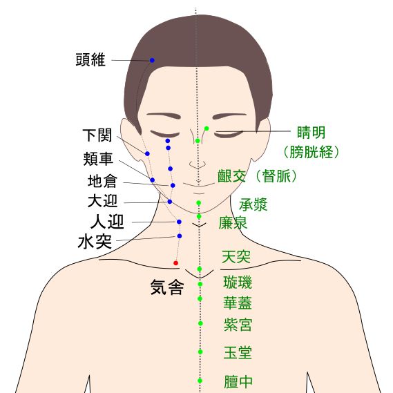 気舎（きしゃ）経穴図