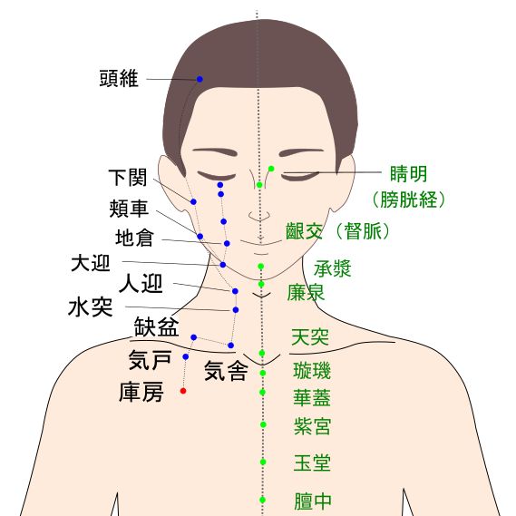 庫房（こぼう）経穴図