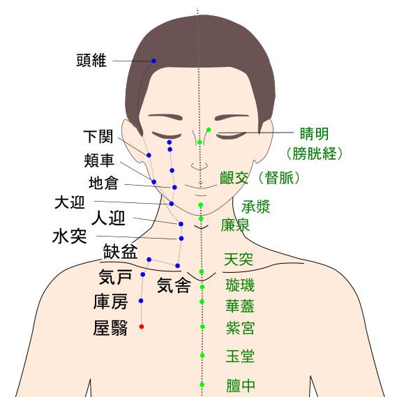 屋翳（おくえい）経穴図
