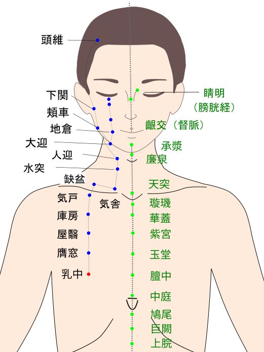 乳中（にゅうちゅう）のツボ・経穴図