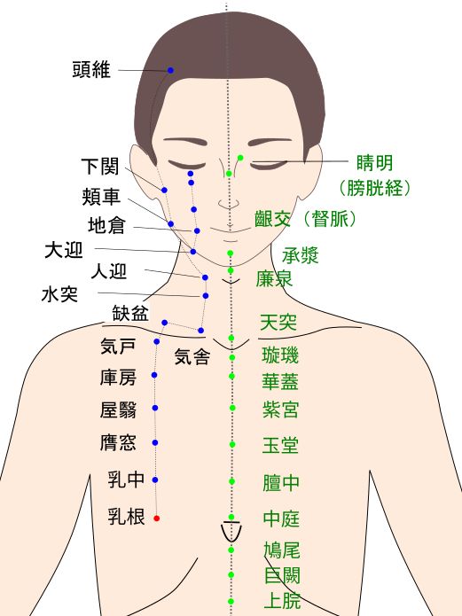 乳根（にゅうこん）のツボ・経穴図