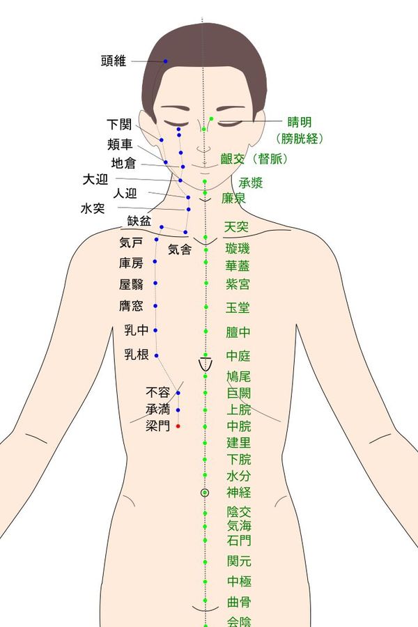 梁門（りょうもん）のツボ・経穴図