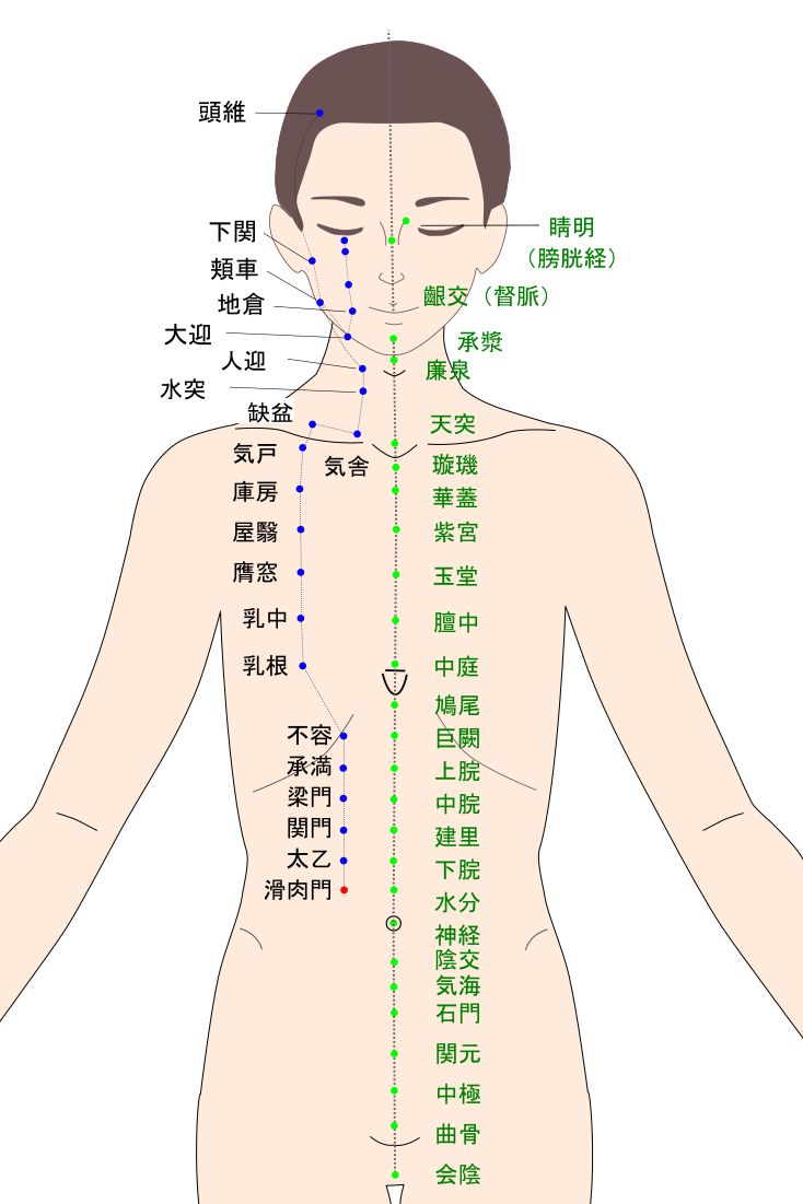 滑肉門（かつにくもん）のツボ・経穴図