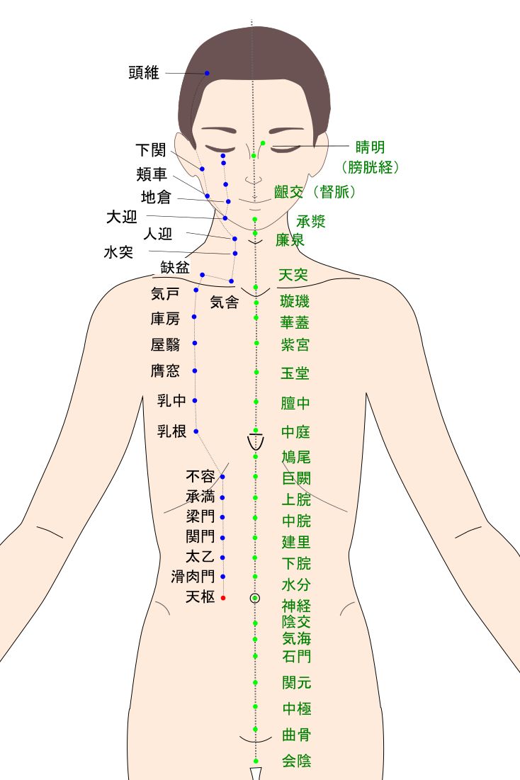 天枢（てんすう）のツボ・経穴図