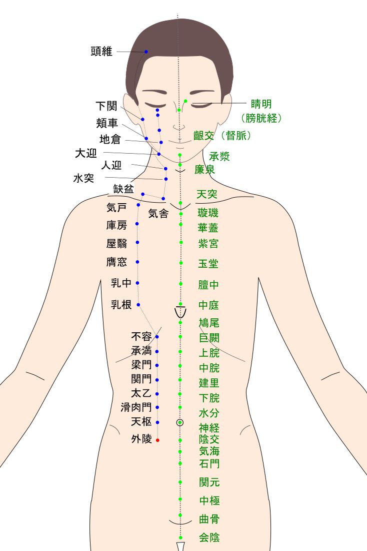 外陵（がいりょう）のツボ・経穴図