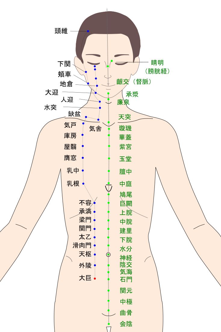 大巨（だいこ）のツボ・経穴図