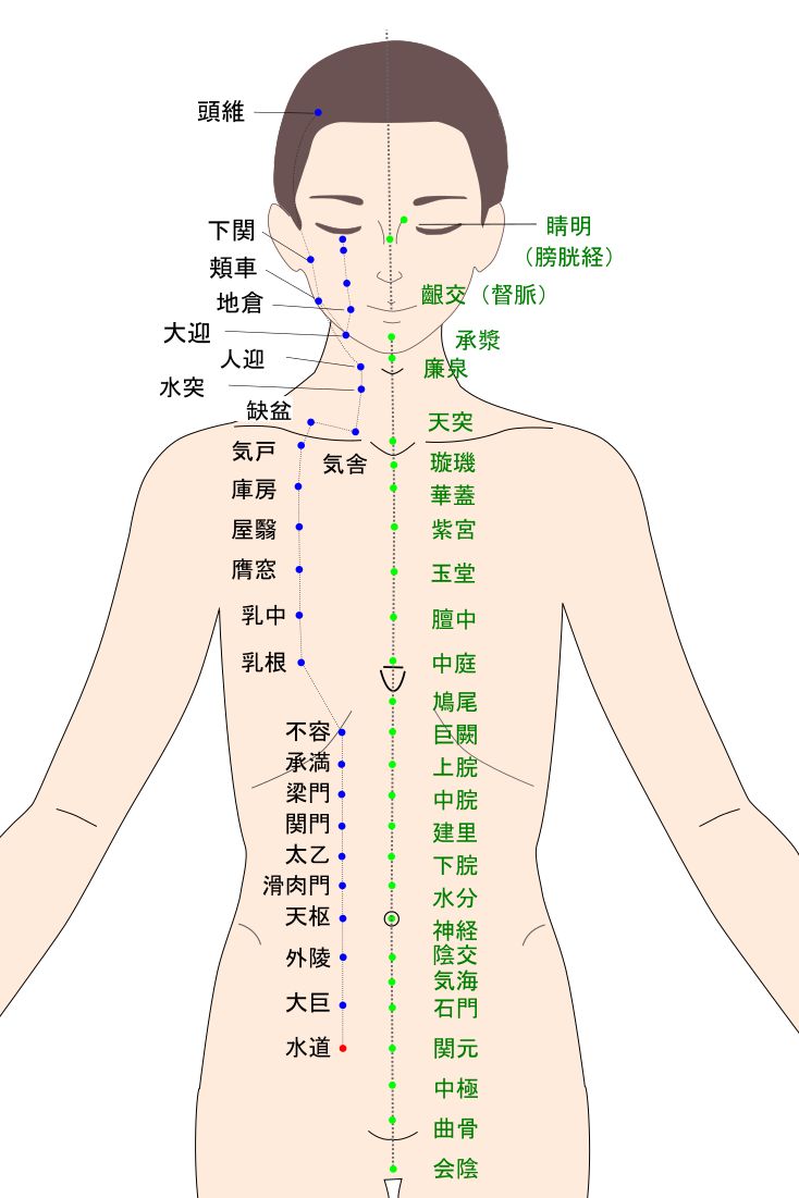 水道（すいどう）のツボ・経穴図