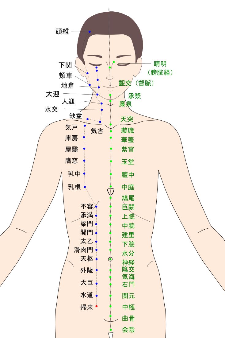 帰来（きらい）のツボ・経穴図