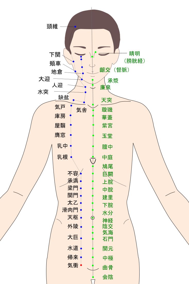 気衝（きしょう）のツボ・経穴図