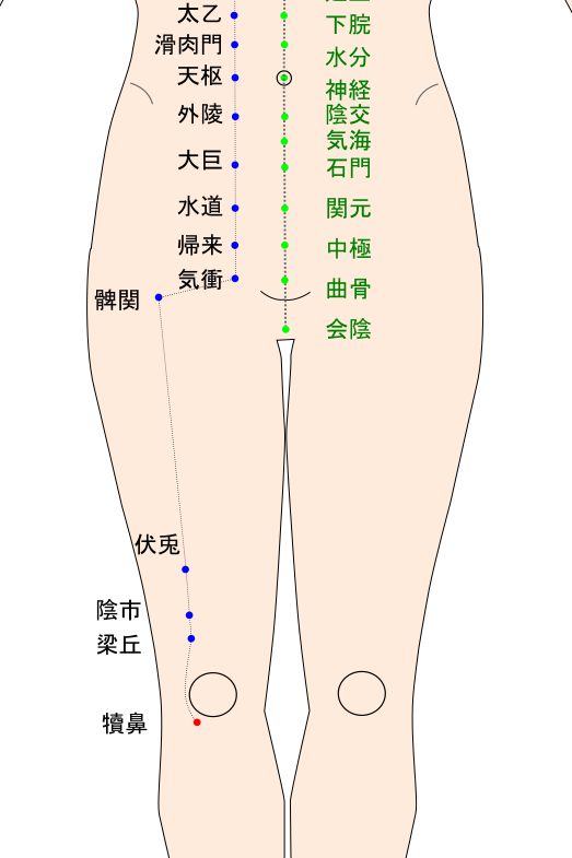 犢鼻(とくび)のツボ・経穴図