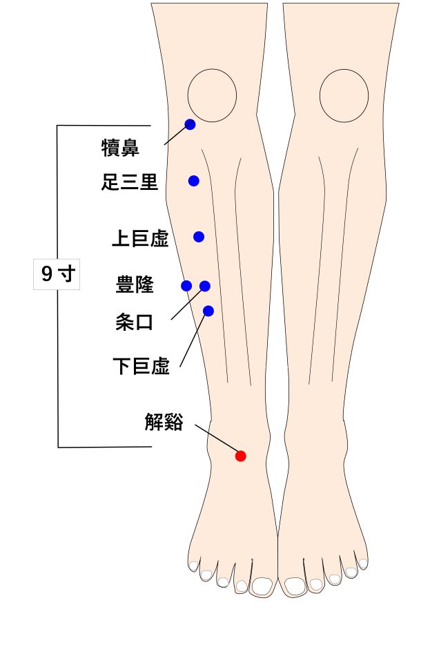 解谿(かいけい)の経穴(ツボ)イラスト