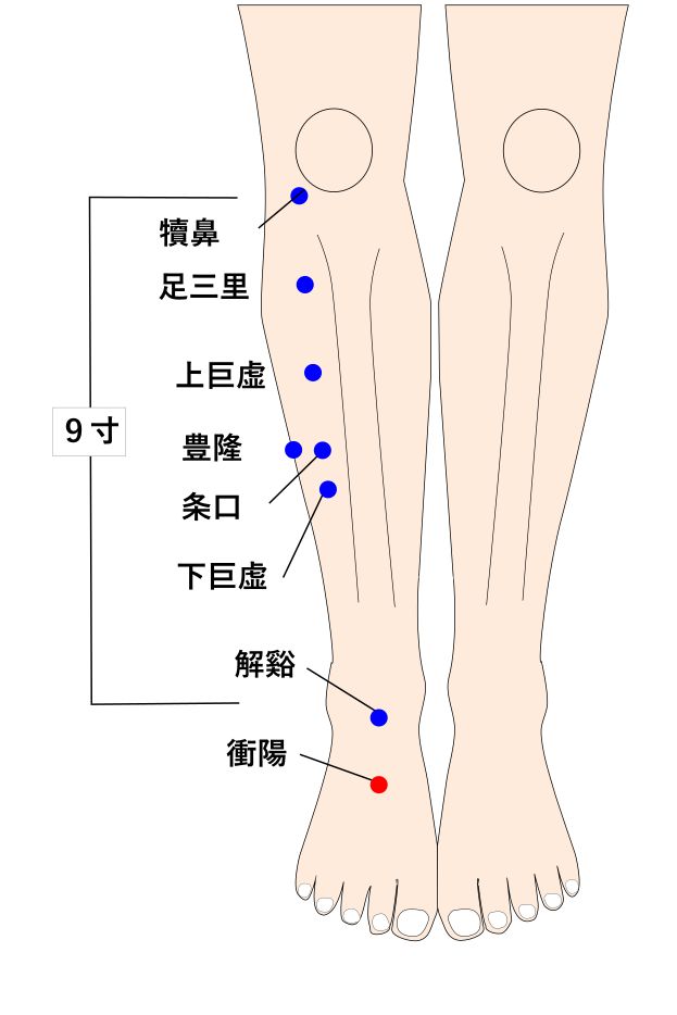 衝陽(しょうよう)の経穴(ツボ)イラスト