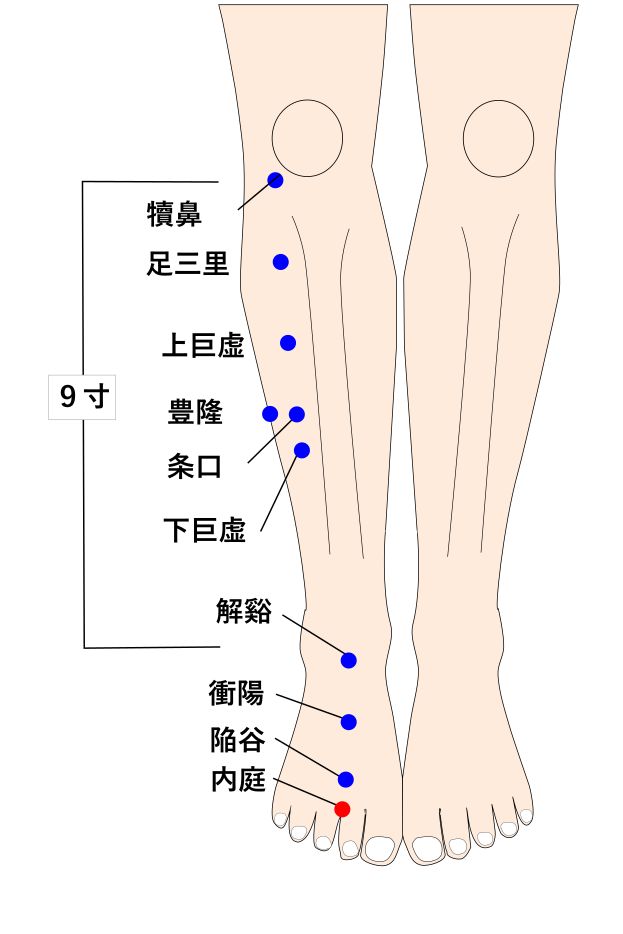 内庭（ないてい）の経穴（ツボ）イラスト