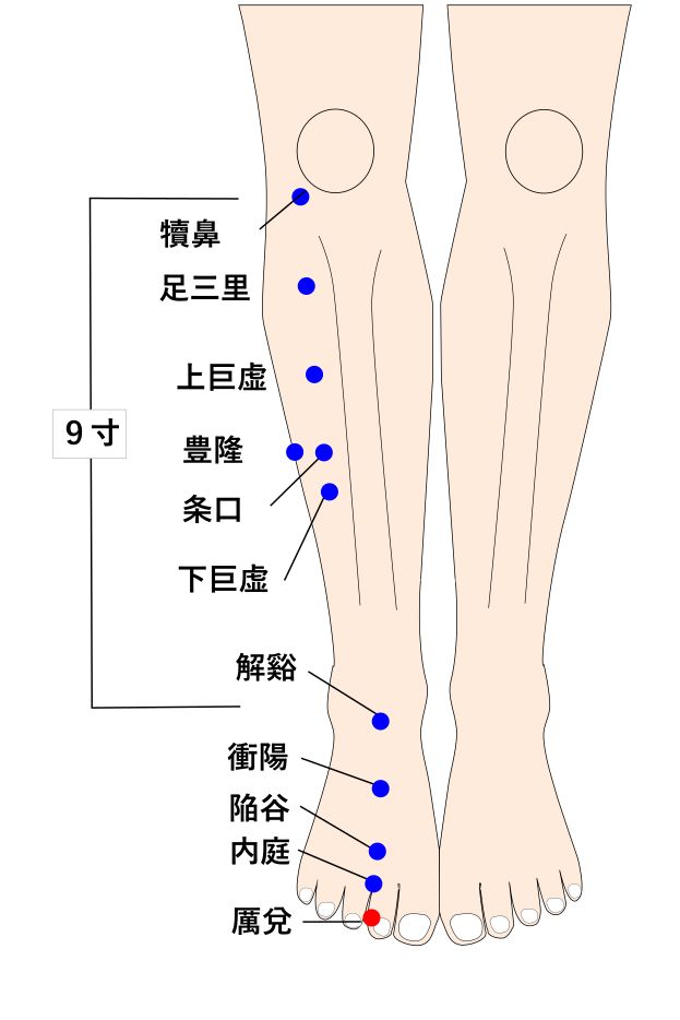 厲兌（れいだ）の経穴（ツボ）イラスト