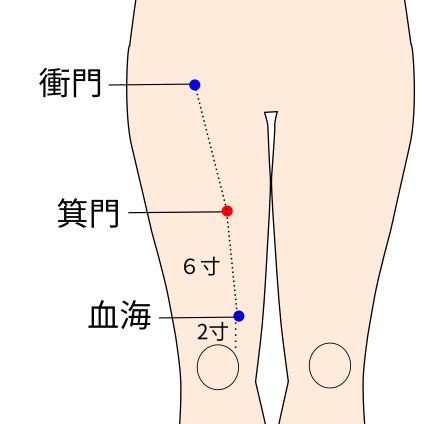 脾経の箕門穴