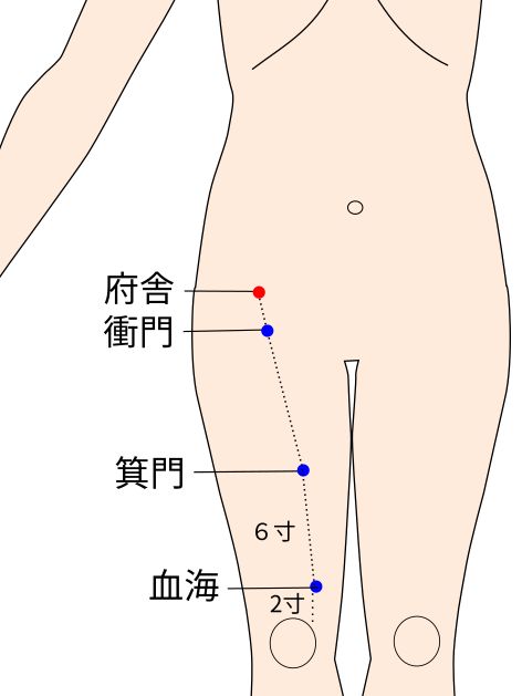 府舎（ふしゃ）の経穴（ツボ）イラスト