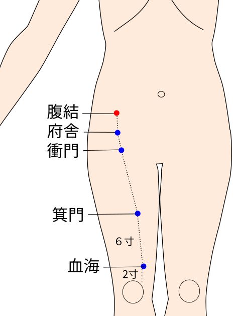 腹結（ふくけつ）の経穴（ツボ）イラスト