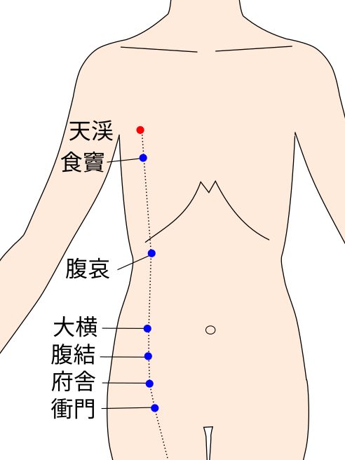 天谿（てんけい）の経穴（ツボ）イラスト
