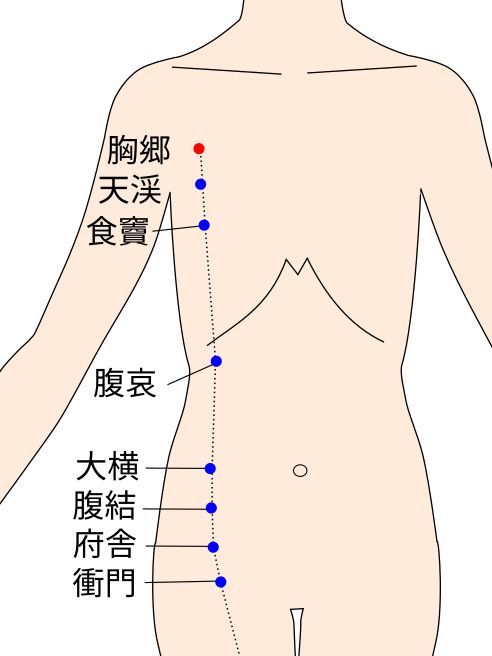 胸郷（きょうきょう）の経穴（ツボ）イラスト
