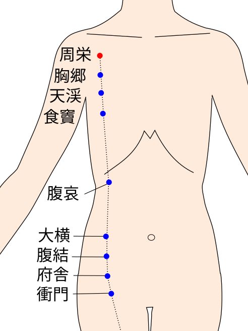 周栄(しゅうえい)の経穴(ツボ)イラスト