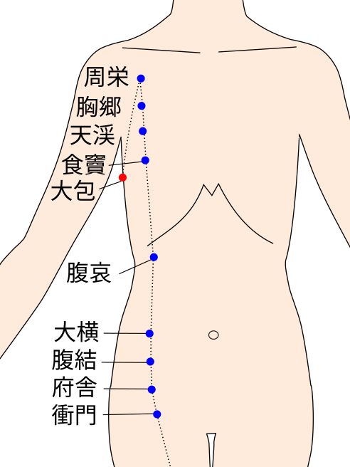 大包(だいほう)の経穴(ツボ)イラスト