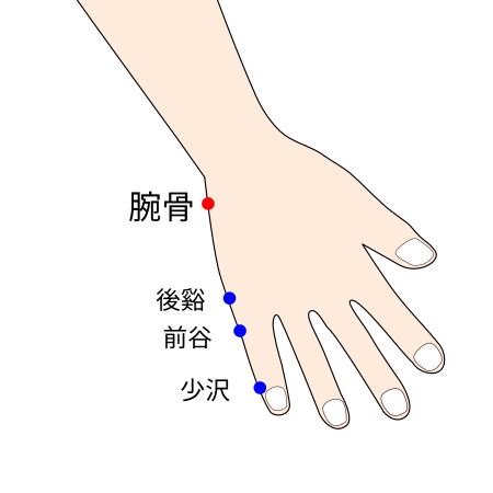 手太陽小腸経の腕骨穴