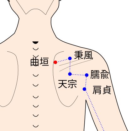 手太陽小腸経の曲垣（きょくえん）穴のイラスト