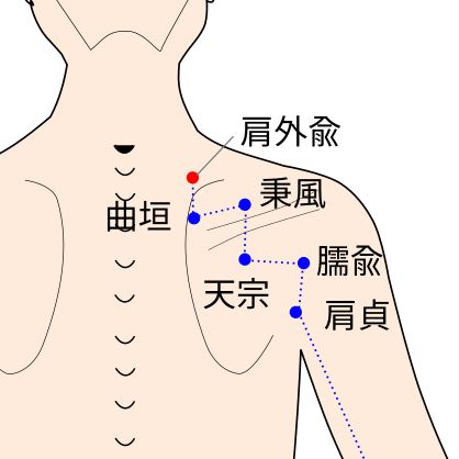手太陽小腸経の肩外兪(けんがいゆ)穴のイラスト