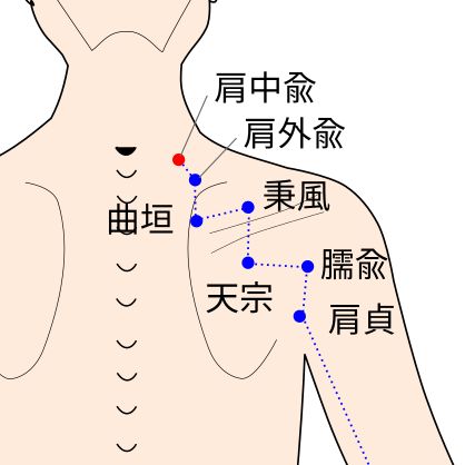 手太陽小腸経の肩中兪(けんちゅうゆ)穴のイラスト