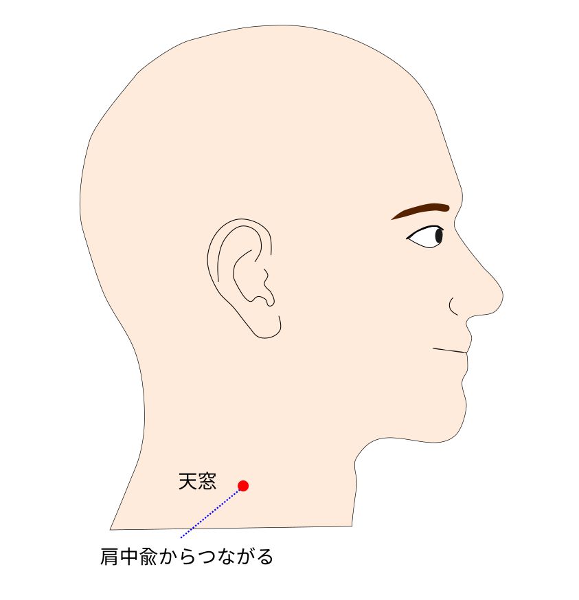 手太陽小腸経の天窓（てんそう）穴のイラスト
