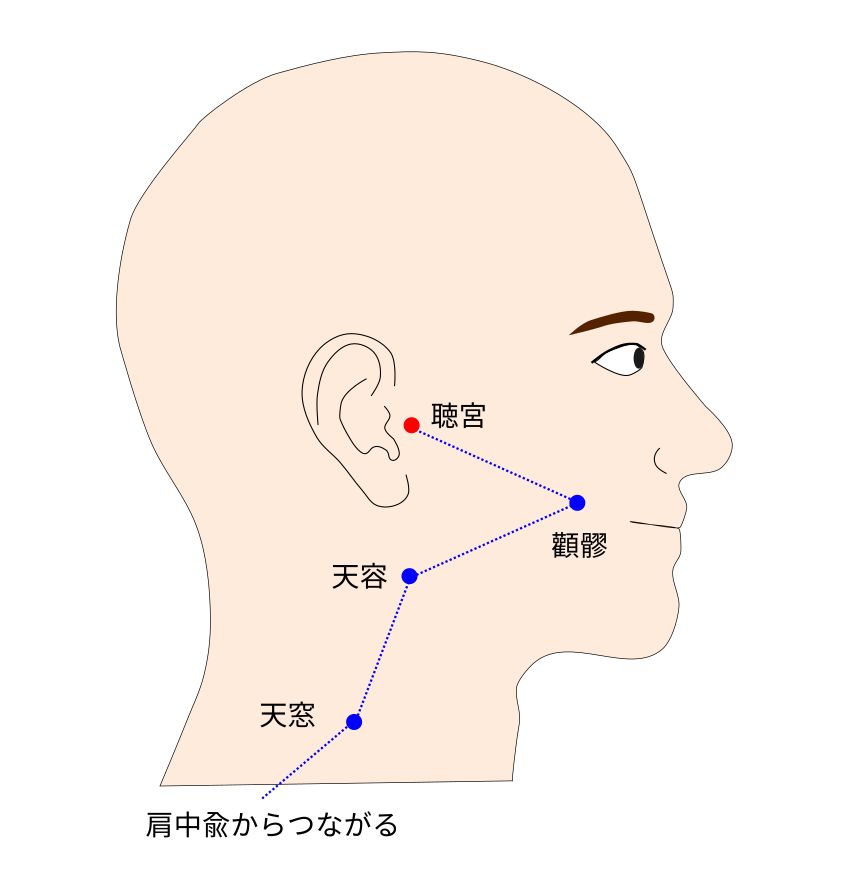 手太陽小腸経の聴宮（ちょうきゅう）穴のイラスト