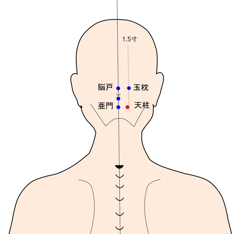 天柱穴のイラスト