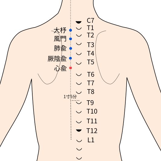 心兪穴のイラスト