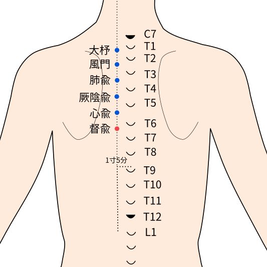 督兪穴の経穴イラスト