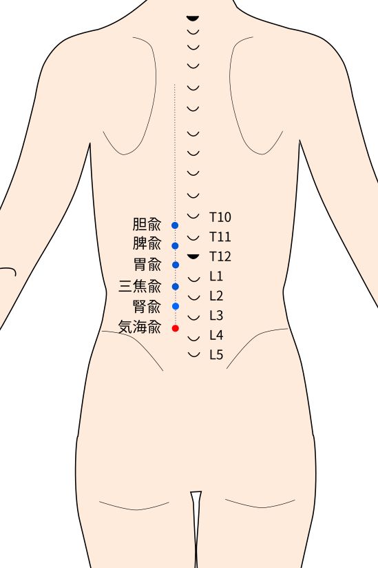気海兪（きかいゆ）穴の経穴イラスト